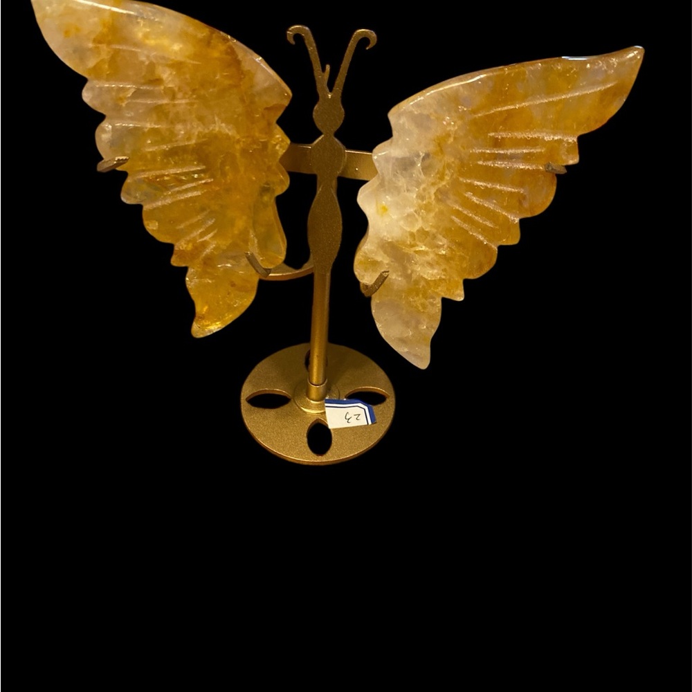Golden Healer Butterfly wings with Stand